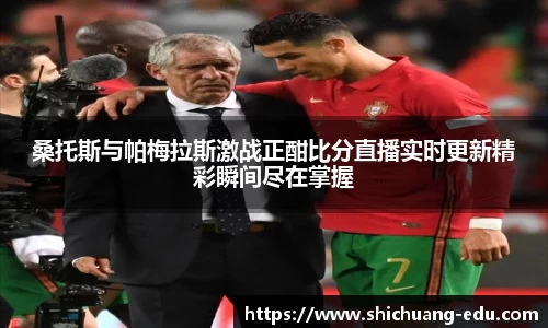 3003新葡的京集团官网